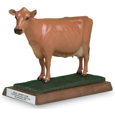 娟姗（Jersey）奶牛模型