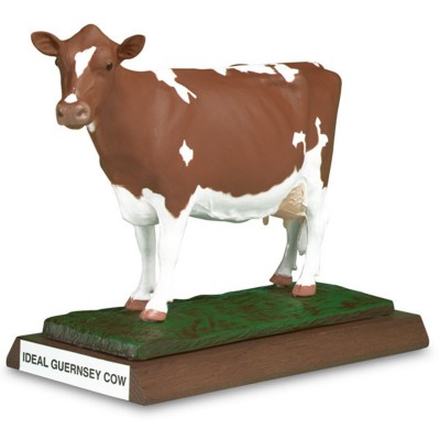 更赛（Guernsey）奶牛模型
